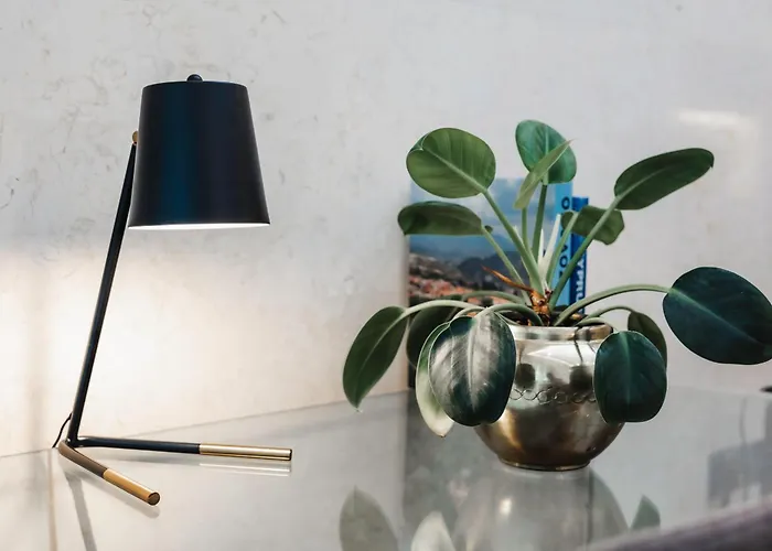 16 Executive Nikósie